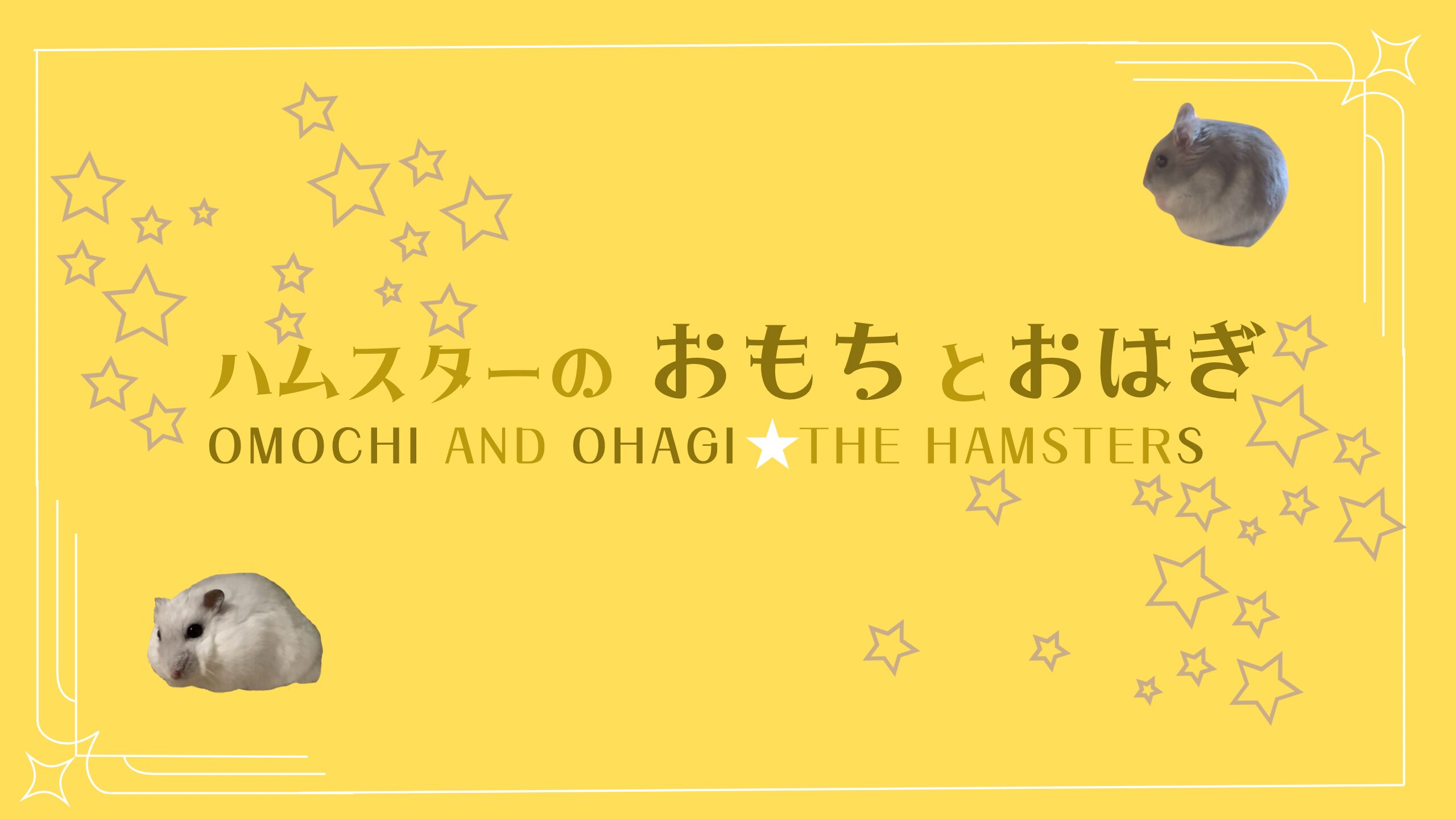 【癒やしのショート🐹】ハムスターのおもち＆おはぎさん。毎日18時に届く、小さな幸せの物語。